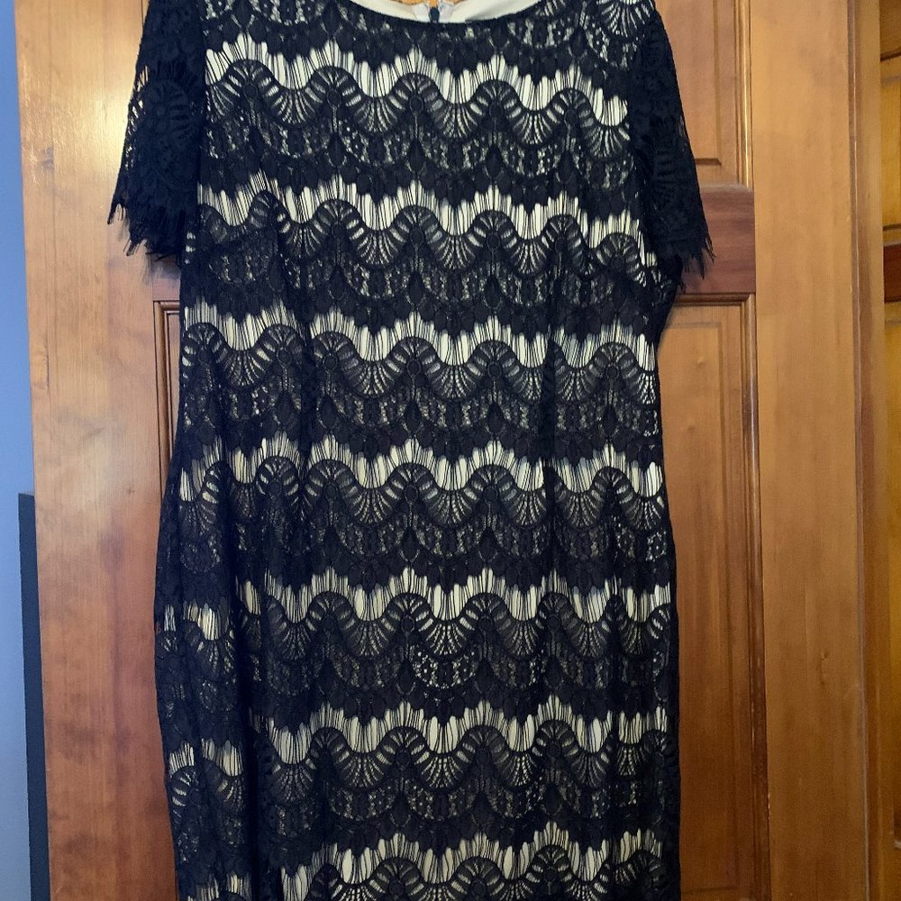 Cocktail Dress, Black and tan.  Lace over silk like fabric.
